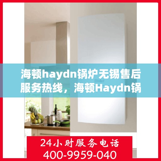 海顿haydn锅炉无锡售后服务热线，海顿Haydn锅炉无锡售后服务热线，专业团队为您提供全方位服务支持