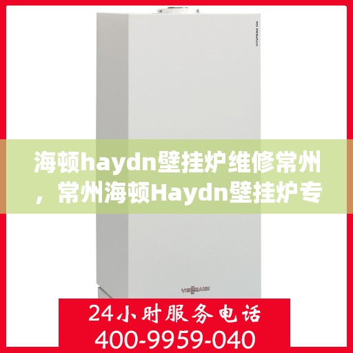 海顿haydn壁挂炉维修常州，常州海顿Haydn壁挂炉专业维修服务