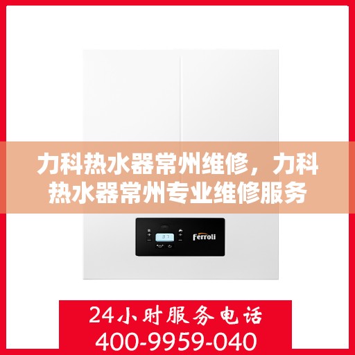 力科热水器常州维修，力科热水器常州专业维修服务