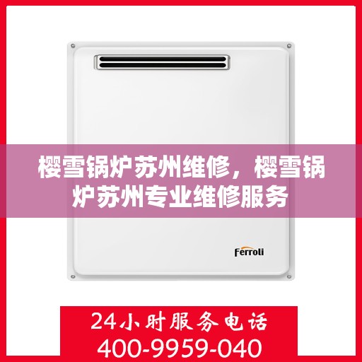 樱雪锅炉苏州维修，樱雪锅炉苏州专业维修服务