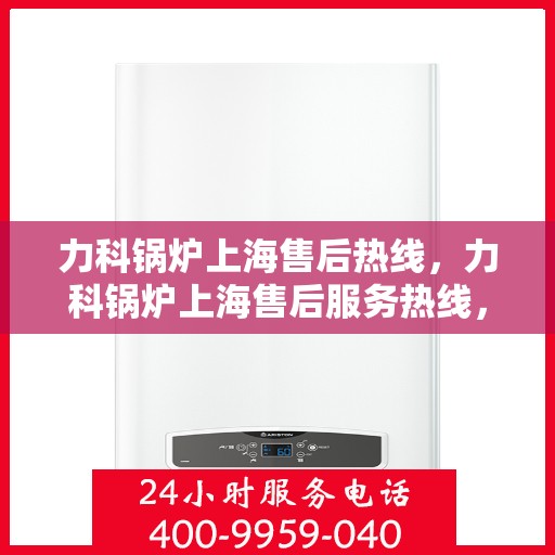 力科锅炉上海售后热线，力科锅炉上海售后服务热线，专业解决您的锅炉问题
