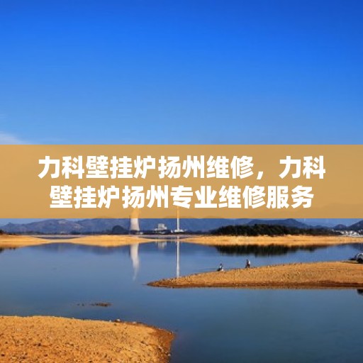 力科壁挂炉扬州维修，力科壁挂炉扬州专业维修服务