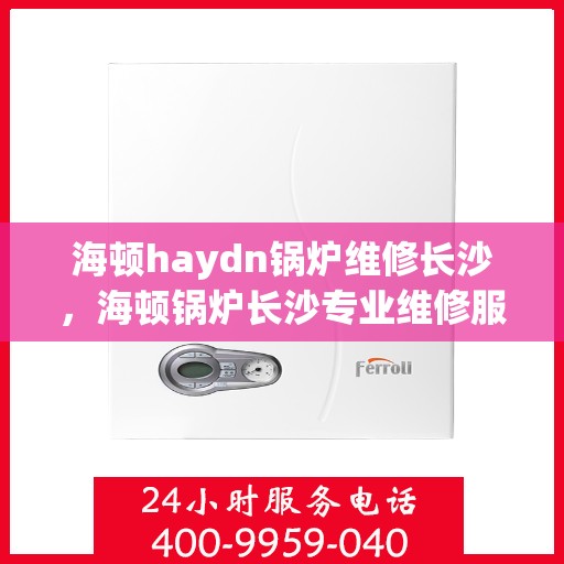 海顿haydn锅炉维修长沙，海顿锅炉长沙专业维修服务