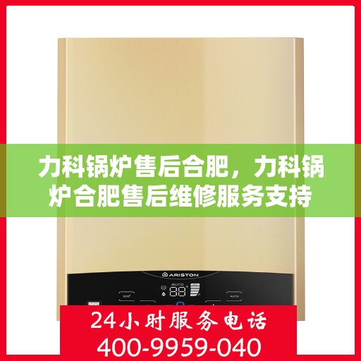 力科锅炉售后合肥，力科锅炉合肥售后维修服务支持
