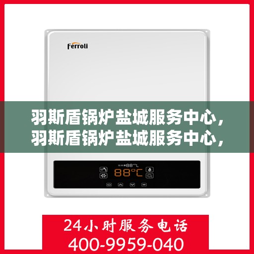 羽斯盾锅炉盐城服务中心，羽斯盾锅炉盐城服务中心，专业维修与优质服务并行